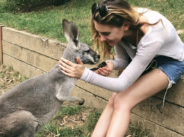 Stefanie Giesinger will nach Australien auswandern