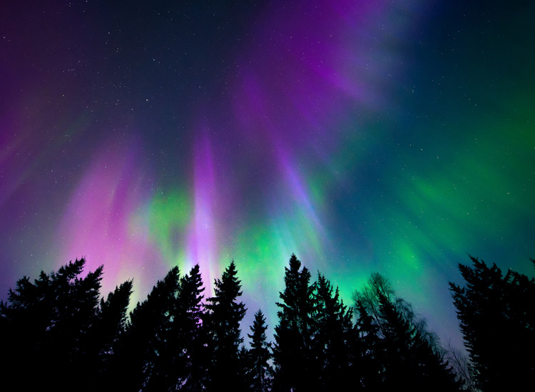 Polarlichter über Deutschland: Wann und Wo kann man die Aurora Borealis sehen
