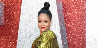 Rihanna bringt Sexspielzeug raus