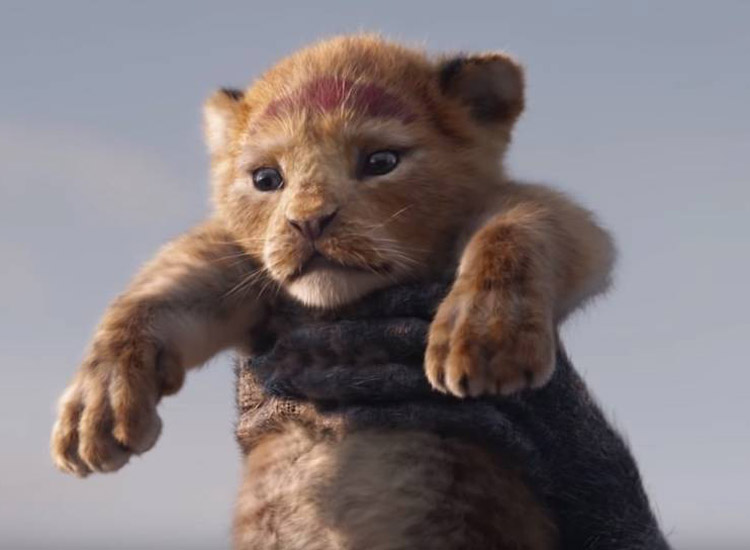 König der Löwen Film 2019: Alle Infos