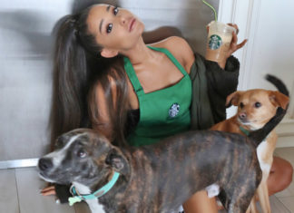 Ariana Grande bekommt Starbucks-Getränk Cloud Macchiato