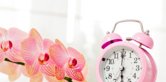 Stellt man bei der Zeitumstellung auf Sommerzeit im März 2020 die Uhren vor oder zurück?