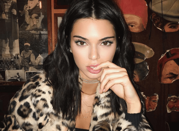 Kendall Jenner Instagram Follower